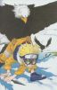 naruto artbook087   2339  (naruto artbook087   ( Anime CG Artbook Uzumaki Naruto  ) 2339 )